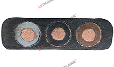 中壓扁電纜 中壓扁電纜